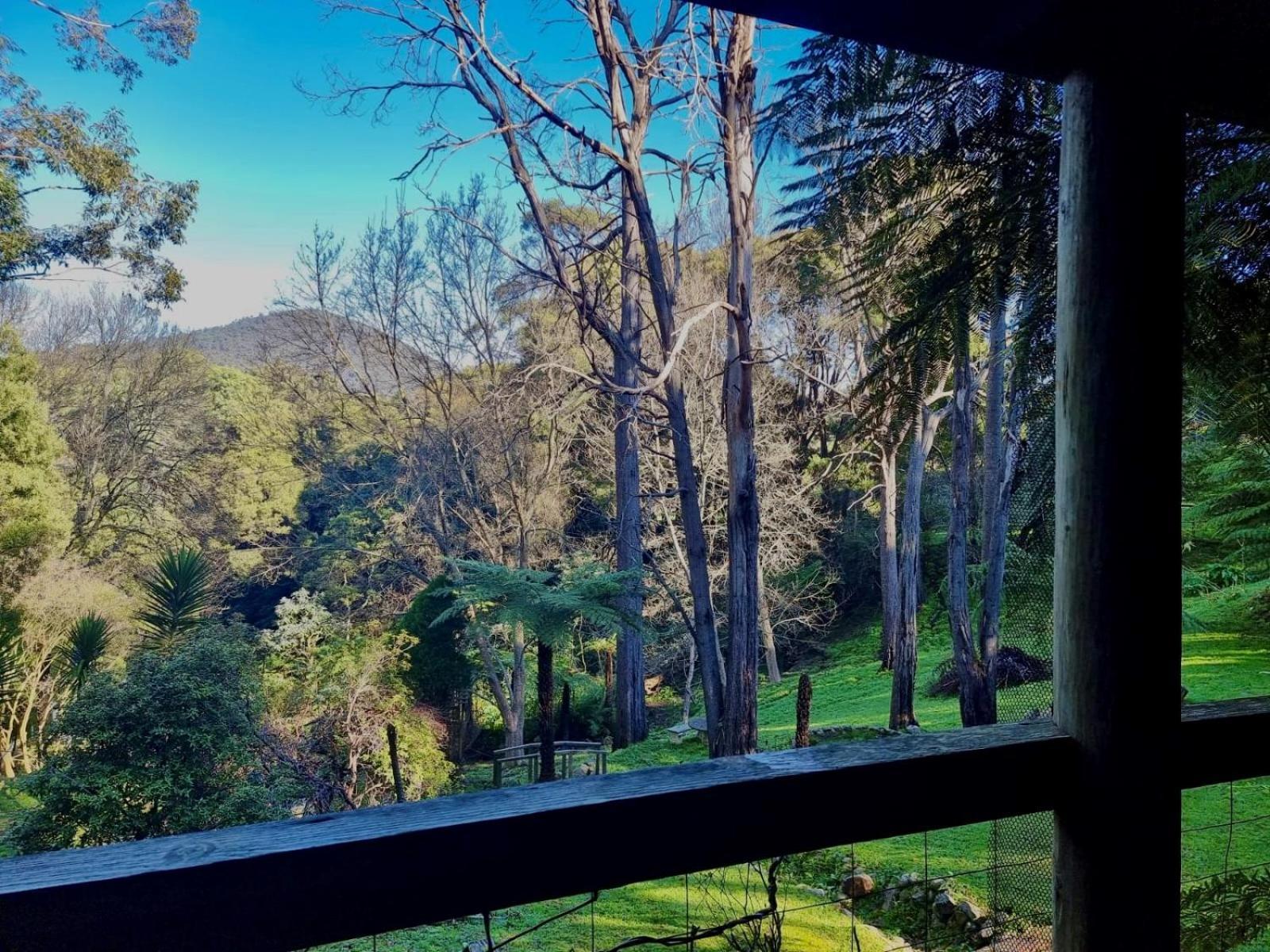 Forget Me Not Cottages Warburton Extérieur photo