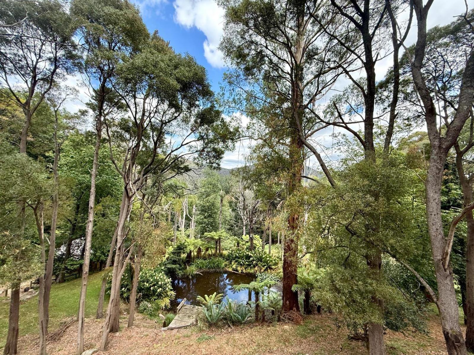 Forget Me Not Cottages Warburton Extérieur photo